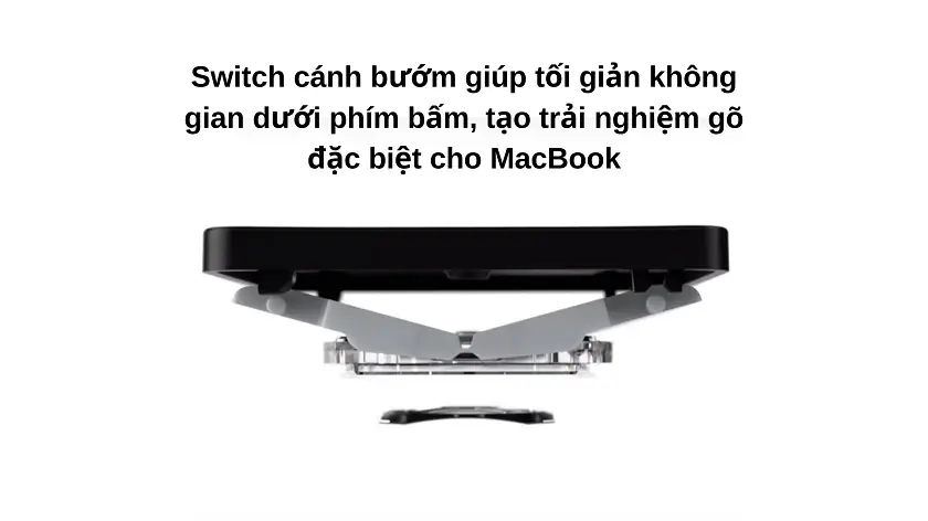 Hình dạng cấu tạo bàn phím cánh bướm MacBook