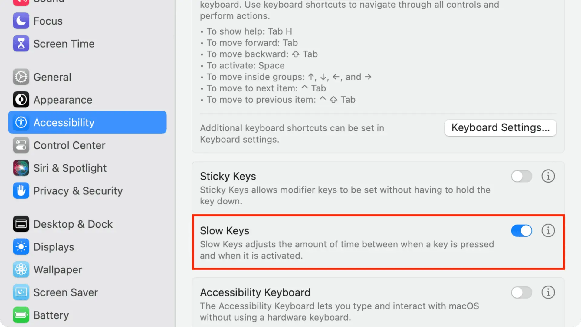 Giao diện cài đặt Accessibility trên macOS, khoanh tròn mục Slow Keys